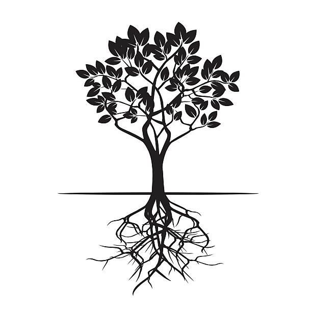 Vector Black Roots 270+ How To Draw Tree Roots Background Stock Illustrations, Royalty ...