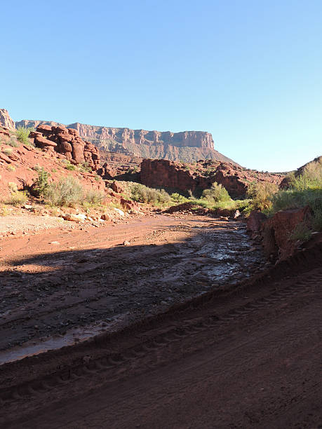 istock Creek bed near Moab Utah 488354094