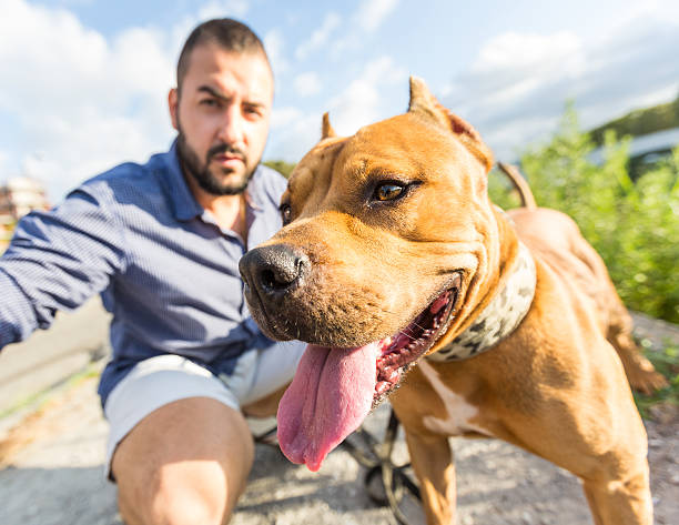 istock Man with his dog at park 488355522