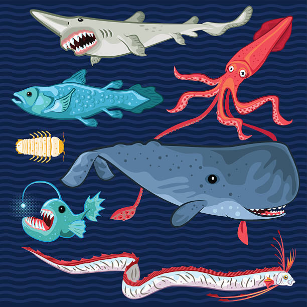 stockillustraties, clipart, cartoons en iconen met fish of the deep blue sea collection set - squid games