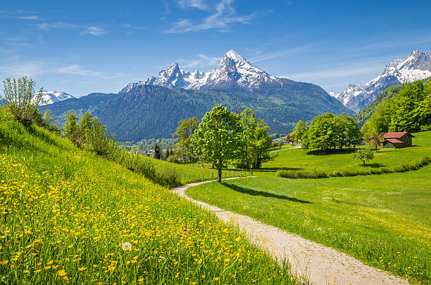 istock Idyllic landscape in the Alps with mountain pastures in springtime 488357088