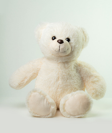 Sitting White Teddy Bear