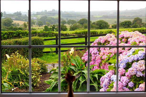 Decorative vase - a blue wicker watering can with a pink bow with dry wildflowers herbarium, stands on the windowsill of a country house in the village . Design interior, rustic style. countryside life