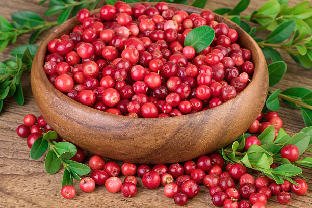 istock Cowberry Lingonberry Wooden Bowl 488360908