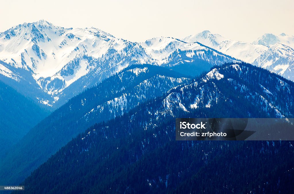 Hurricane Ridge, Olympic National Park 2015 Stock Photo