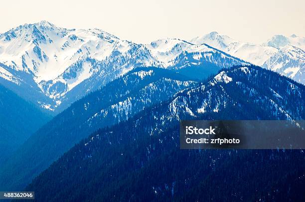 Hurricane Ridge Olympic National Park Stock Photo - Download Image Now - 2015, Forest, Horizontal