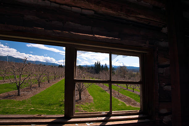 istock Window from old and forgotten in a brilliant future 488363009