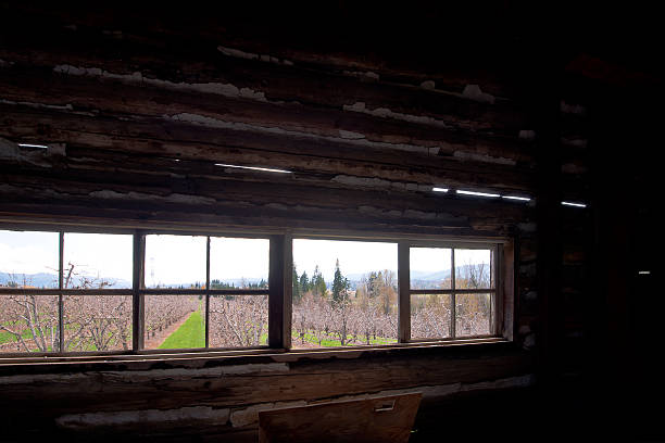 istock Frame of long window in old house 488363305