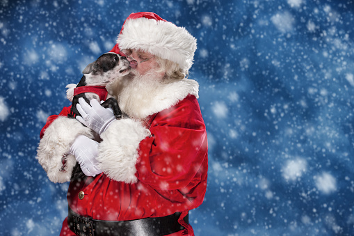 Santa Claus in the falling show, holding a small dog in his arms as the puppy licks Santa's face in a show of pure love.