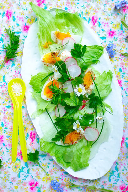 salade de printemps - golden daisy photos et images de collection