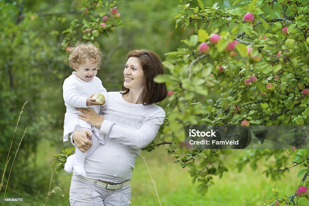 Pregnant mother and one year old baby daughter picking apples Young  beautiful pregnant mother and her one year old baby daughter picking apples in a garden Child Stock Photo