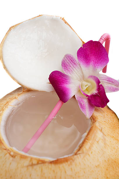 woda kokosowa napój. - thai cuisine thai culture food orchid zdjęcia i obrazy z banku zdjęć
