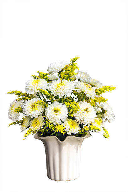 istock White daisies in a vase on isolated background. 488377562