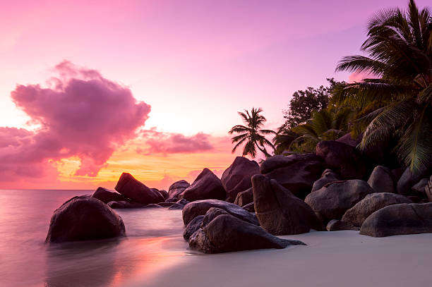 istock Sunset on tropical beach - Seychelles - nature background 488377716