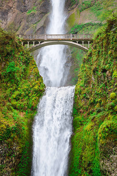 istock Columbia, Columbia Gorge 488377840