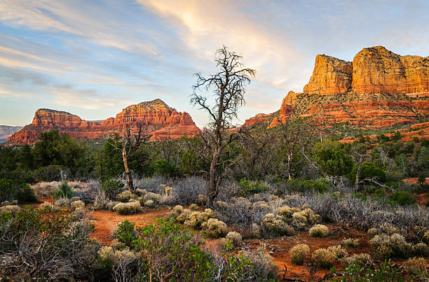 istock Sedona, Arizona 488378164