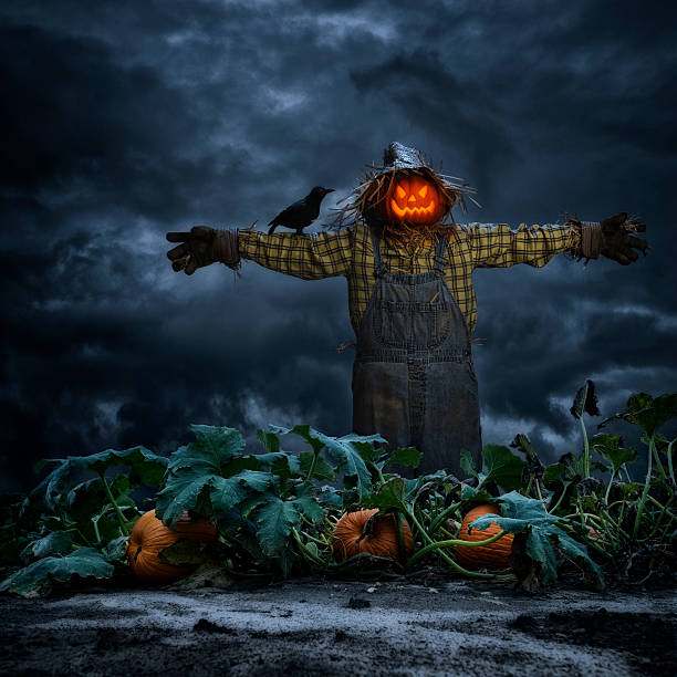 istock Scarecrow with crow standing in pumpkin patch field at night 488379026