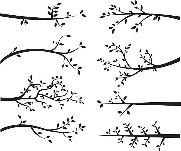 Vector illustration of Branch Silhouettes