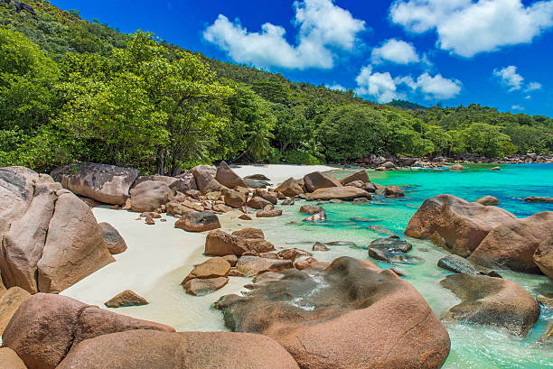 istock Anse Lazio - Beach in Seychelles, island Praslin 488385910