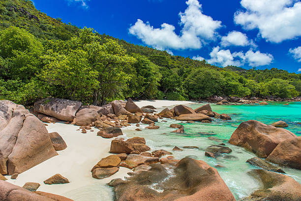 istock Anse Lazio - Beach in Seychelles, island Praslin 488386362