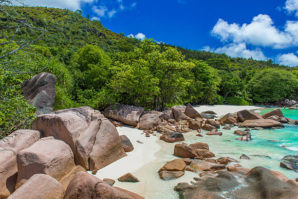 istock Anse Lazio - Beach in Seychelles, island Praslin 488386962