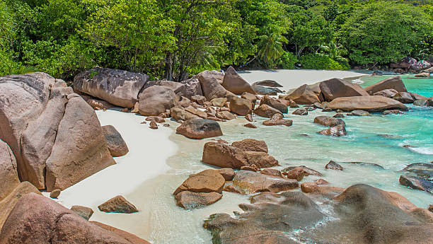 istock Anse Lazio - Beach in Seychelles, island Praslin 488387090