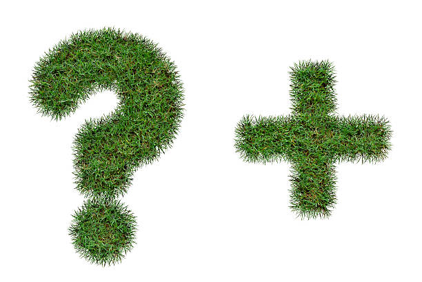istock Grass letter symbol ?,+  isolated on white background 488387574