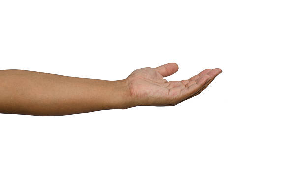 istock hand reaching for something isolated on a white background 488388142