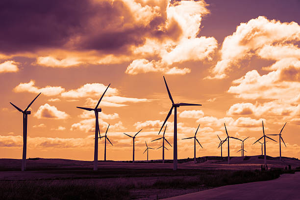 Wind turbine field at sunset, dramatic sky