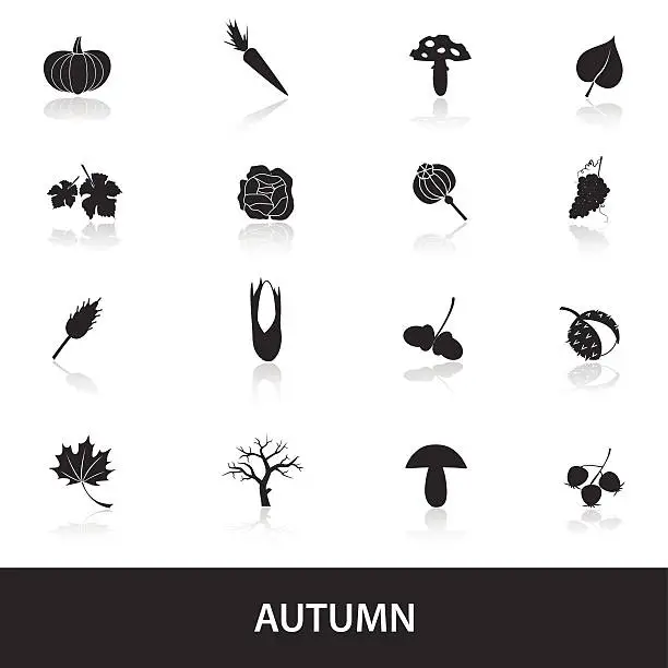 Vector illustration of autumn icons set eps10