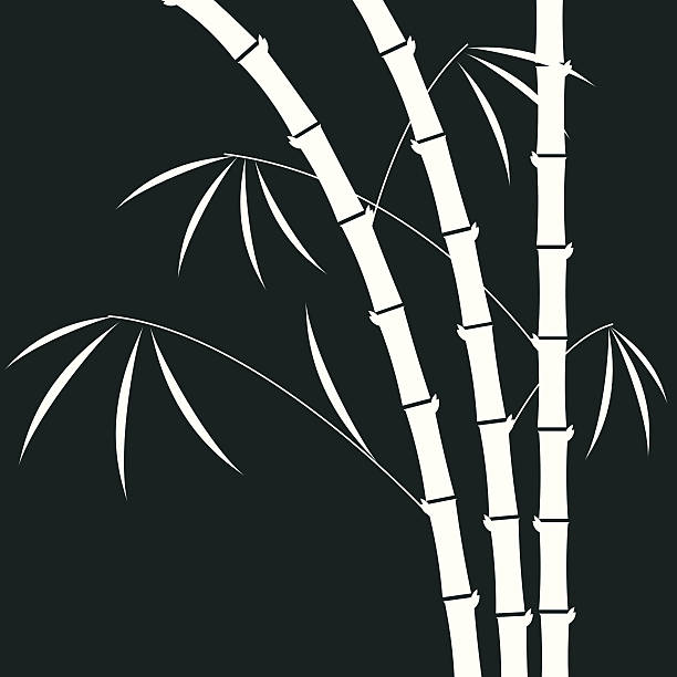 ilustrações de stock, clip art, desenhos animados e ícones de ilustração de bambu - bamboo bamboo shoot pattern backgrounds