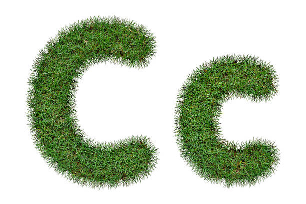 istock Grass Letter C,c isolated on white background 488389862