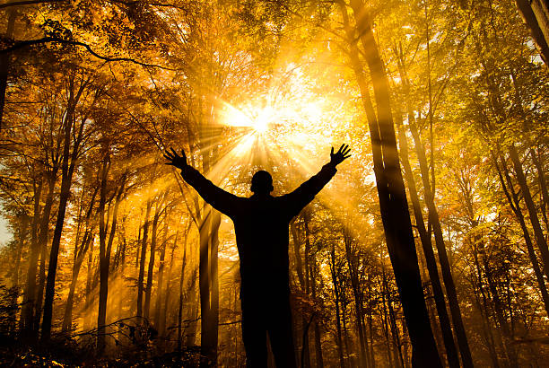 spirituality in autumn rear view of man raising hands, feeling free and enjoying the relaxation in autumn forest. hope god lighting technique tree stock pictures, royalty-free photos & images