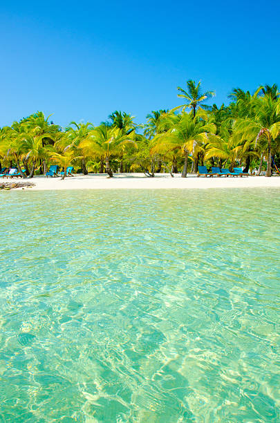 istock Paradise Beach on beautiful island South Water Caye - Belize 488391037
