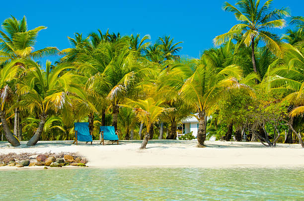 istock Paradise Beach on beautiful island South Water Caye - Belize 488391039