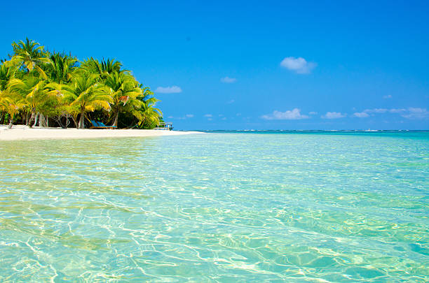 istock Paradise Beach on beautiful island South Water Caye - Belize 488391041