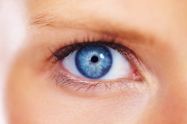 Looking through the windows of the soul Macro image of a stunning female eye looking at you with a striking blue iris blue iris stock pictures, royalty-free photos & images