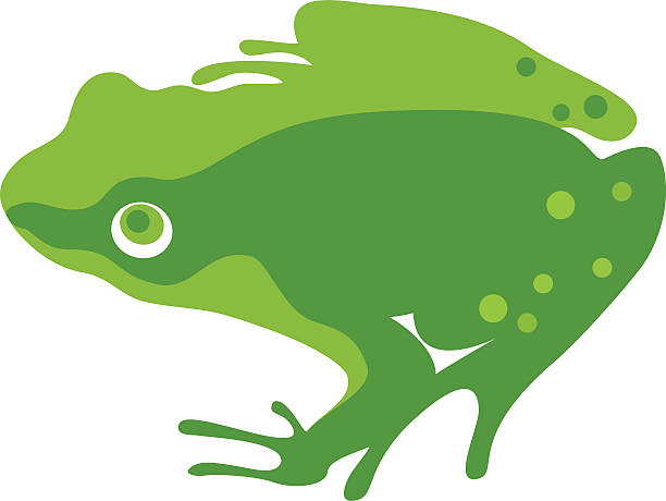 Cold Blooded Animals Illustrations, Royalty-Free Vector Graphics & Clip Art  - iStock