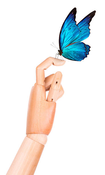 istock butterfly on wooden hand. In motion 488391723