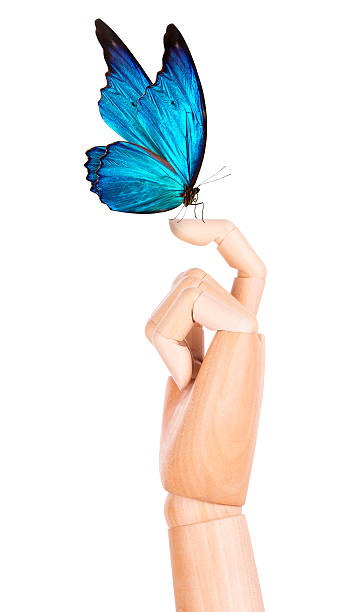 istock butterfly on wooden hand. In motion 488391727