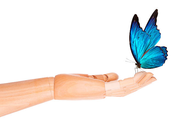 istock butterfly on wooden hand. In motion 488391739