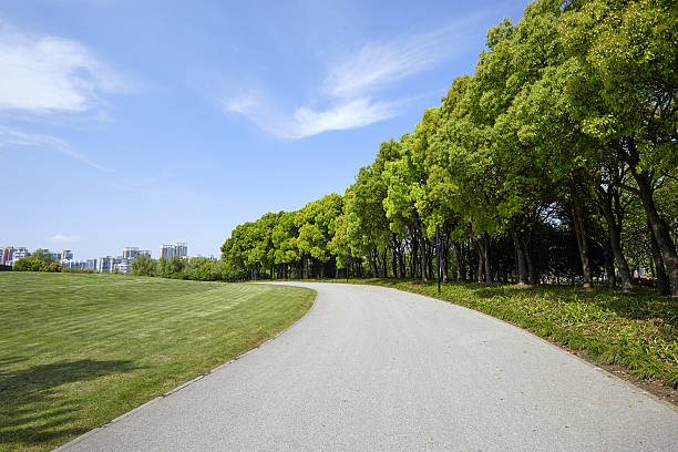 caminho de pedra no parque green - tranquil scene sky road street imagens e fotografias de stock