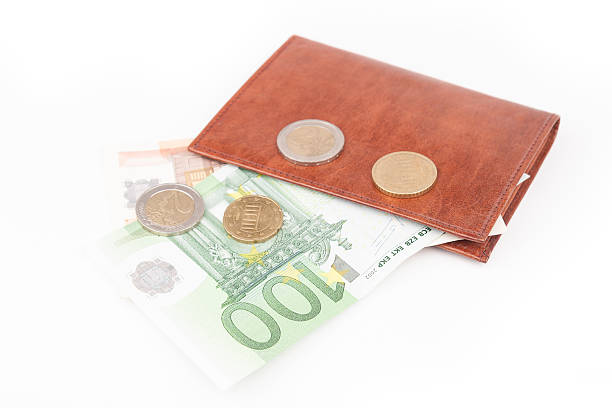 istock Brown wallet with EU money 488395205