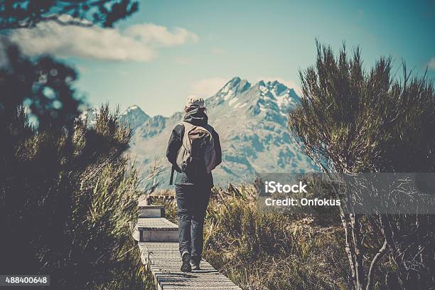 Woman Walking On Footpath At Key Summit Lookout Trail Stock Photo - Download Image Now