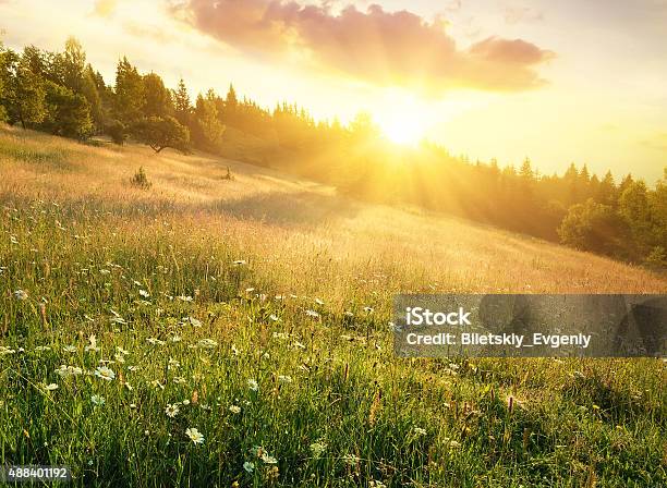 Mountain Field Stock Photo - Download Image Now - 2015, Beauty In Nature, Environment