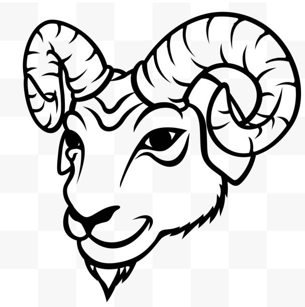 ram ヘッドマスコット - goat shaggy animal mammal点のイラスト素材／クリップアート素材／マンガ素材／アイコン素材
