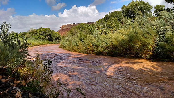 istock Virgin River flood stage muddy waters below Rockville Bridge Utah 488403192