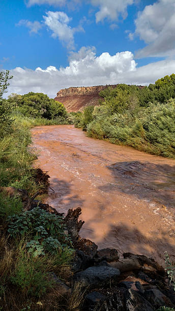 istock flash flood runoff Virgin River Rockville Mesa Utah in background 488403232