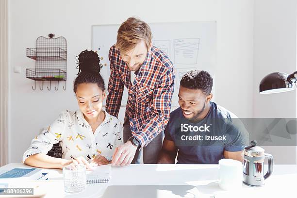 Multi Ethnic Team Working In An Office Together Stock Photo - Download Image Now - 2015, Adult, African Ethnicity