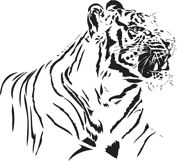 Vector illustration of Angry tiger illustration